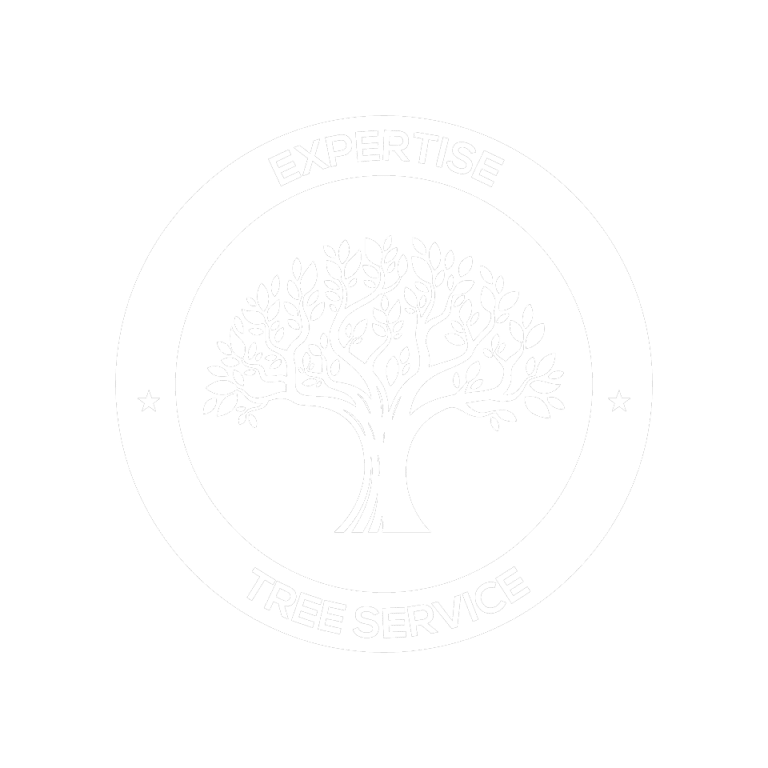 San Antonio Tree Service | Trimming | Tree Removal | Affordable Arborist
